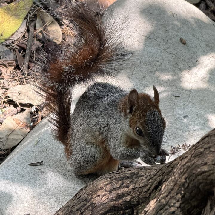 Lugar de reunión en Chapultepec