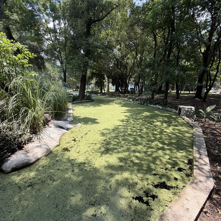 Lugar de reunión en Chapultepec