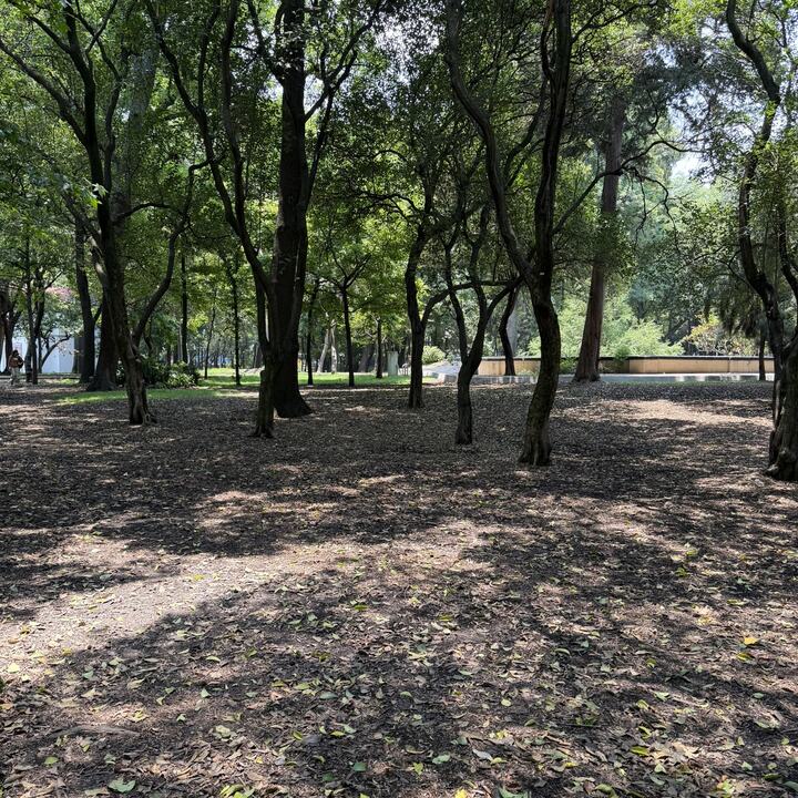 Lugar de reunión en Chapultepec