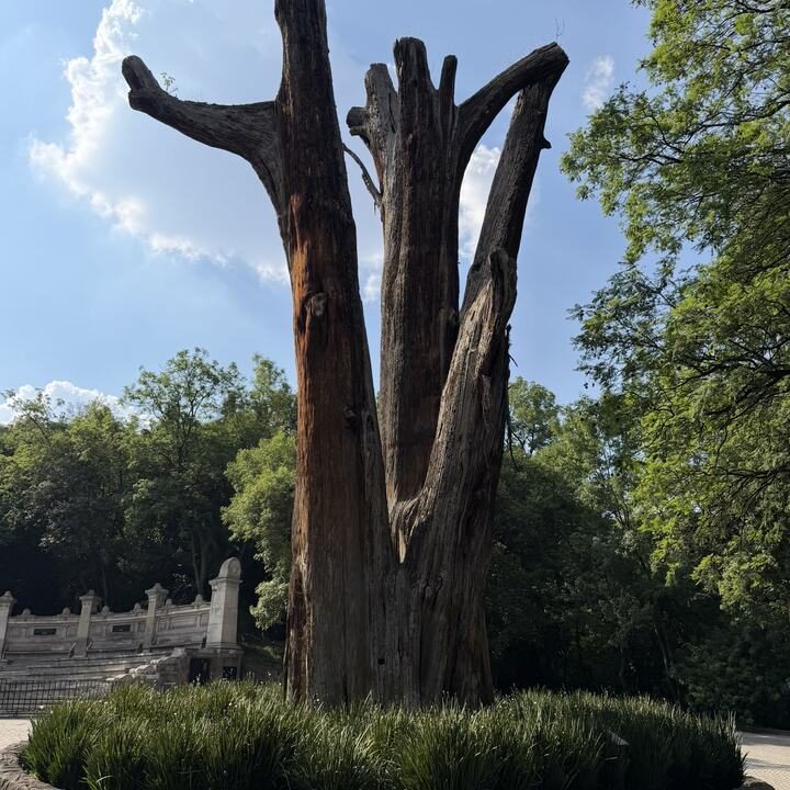 Lugar de reunión en Chapultepec