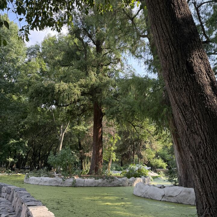 Lugar de reunión en Chapultepec