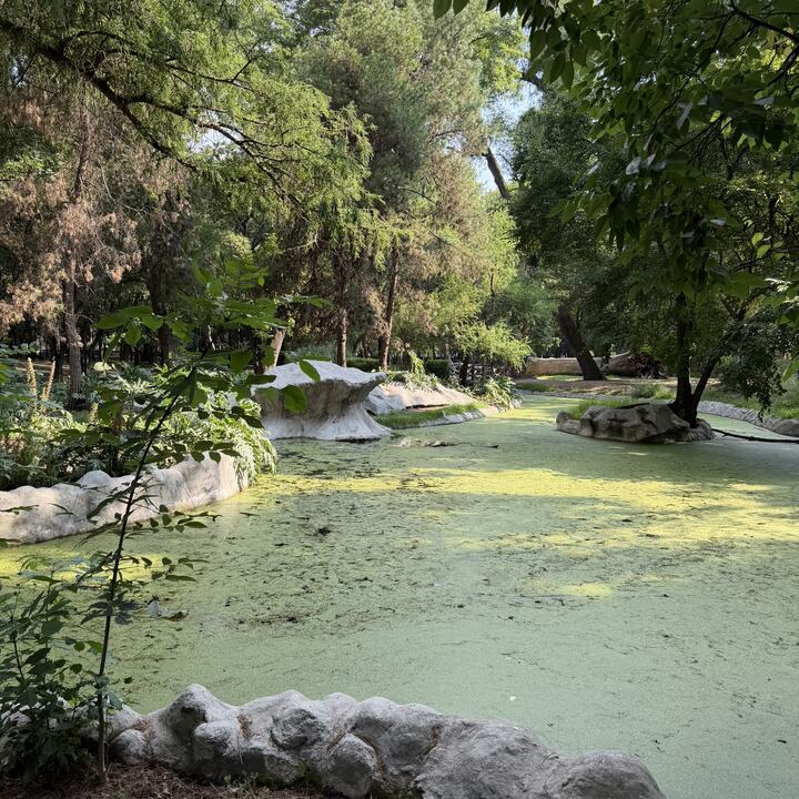 Lugar de reunión en Chapultepec