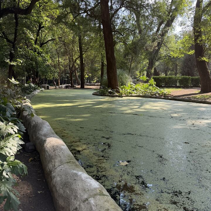 Lugar de reunión en Chapultepec