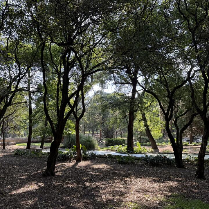 Lugar de reunión en Chapultepec