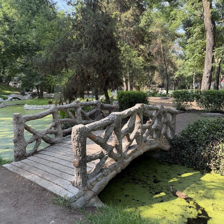 Lugar de reunión en Chapultepec