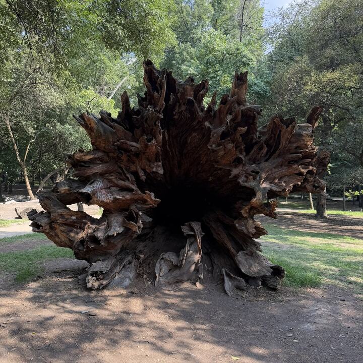 Lugar de reunión en Chapultepec