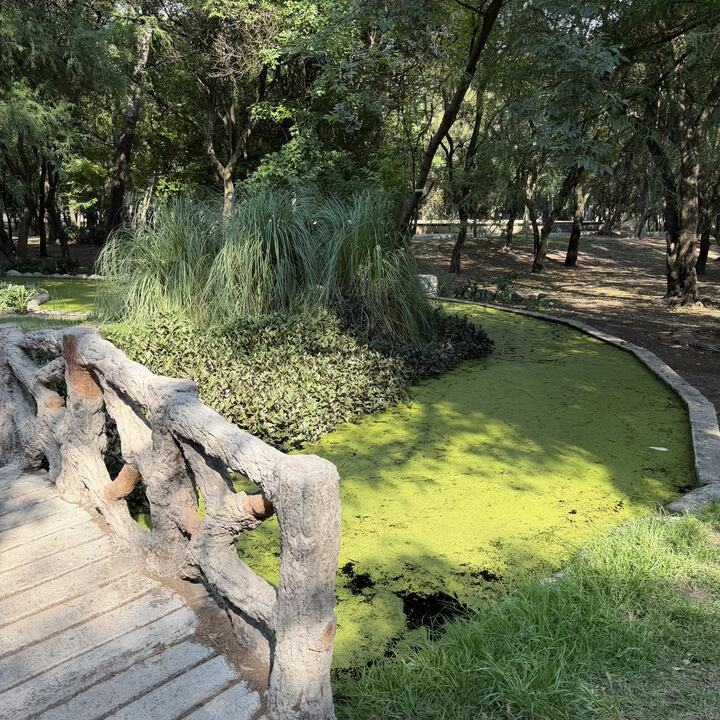 Lugar de reunión en Chapultepec